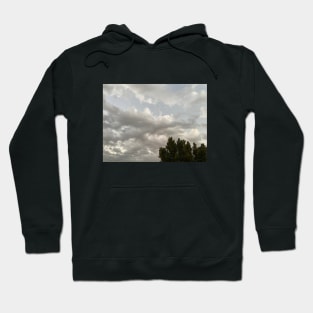 CLOUDY SKY WITH TREES Hoodie